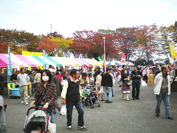 �e�q�A��̎ʐ^�F�N���b�N����ƑO�ɖ߂�܂�