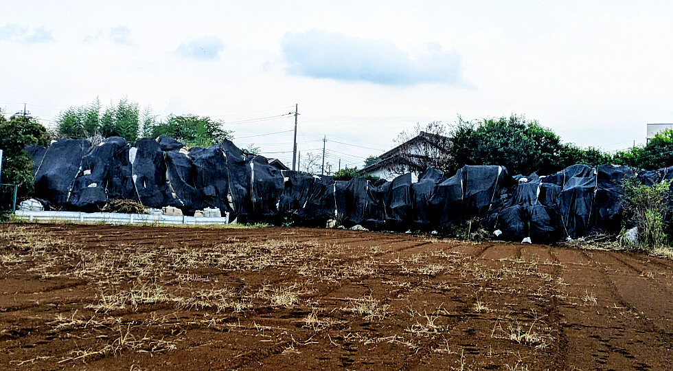 �ςݏグ��ꂽ�t���R���o�b�O�̎ʐ^�FEnter����ƑO�ɖ߂�܂�