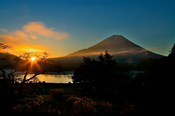 �x�m�R�Ə����̏o�̎ʐ^�FEnter����Ƒ傫���Ȃ�܂�